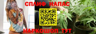 стаф Будённовск