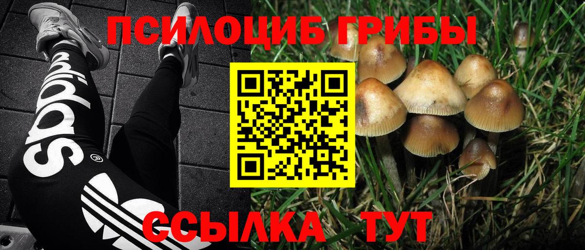 Сертолово  Галлюциногенные грибы Magic Shrooms  Вход с VPN 