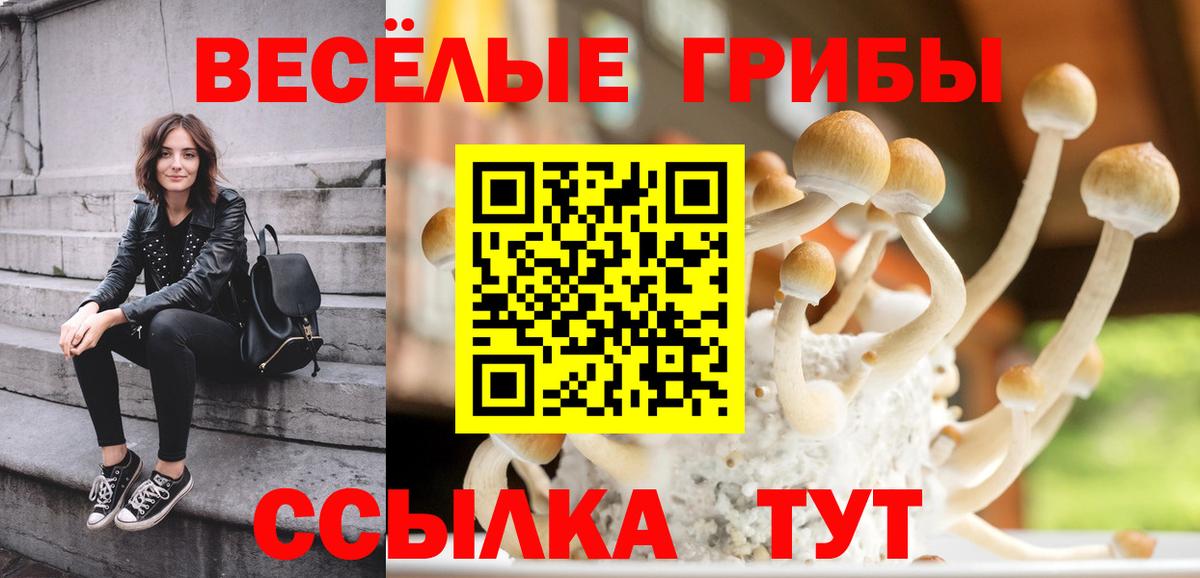 Псилоцибиновые грибы Psilocybine cubensis Сертолово